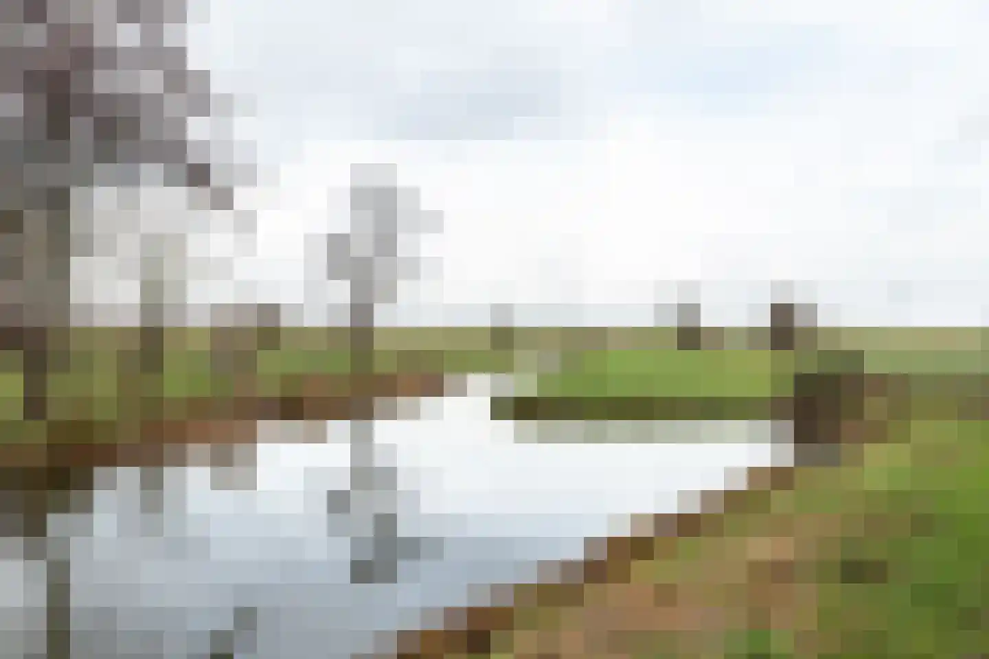 Hondsdraf 9 Alblasserdam thumbnail 30