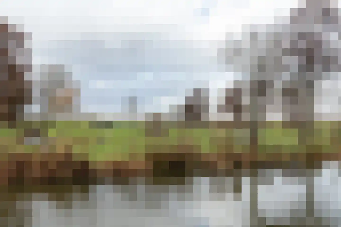 Hondsdraf 9 Alblasserdam thumbnail 4