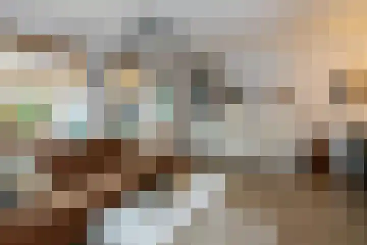 Hondsdraf 9 Alblasserdam thumbnail 6