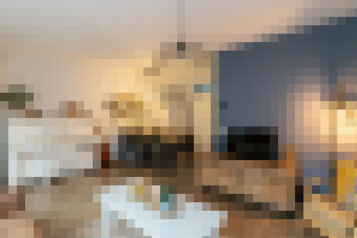 Hondsdraf 9 Alblasserdam thumbnail 7
