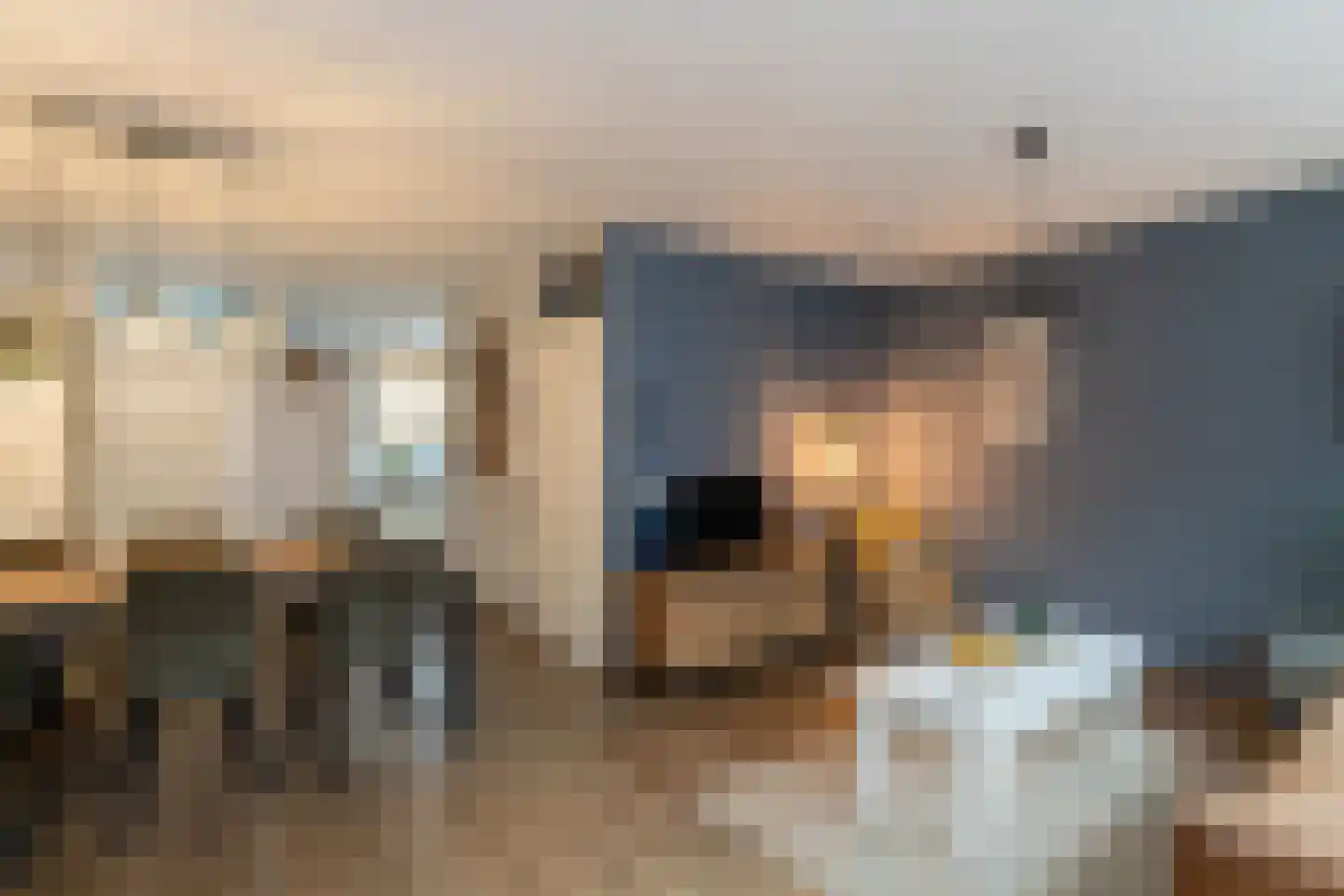 Hondsdraf 9 Alblasserdam thumbnail 8
