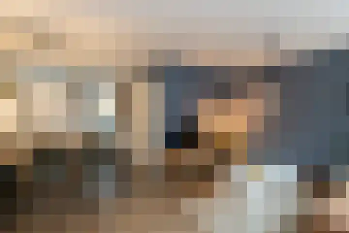 Hondsdraf 9 Alblasserdam thumbnail 8