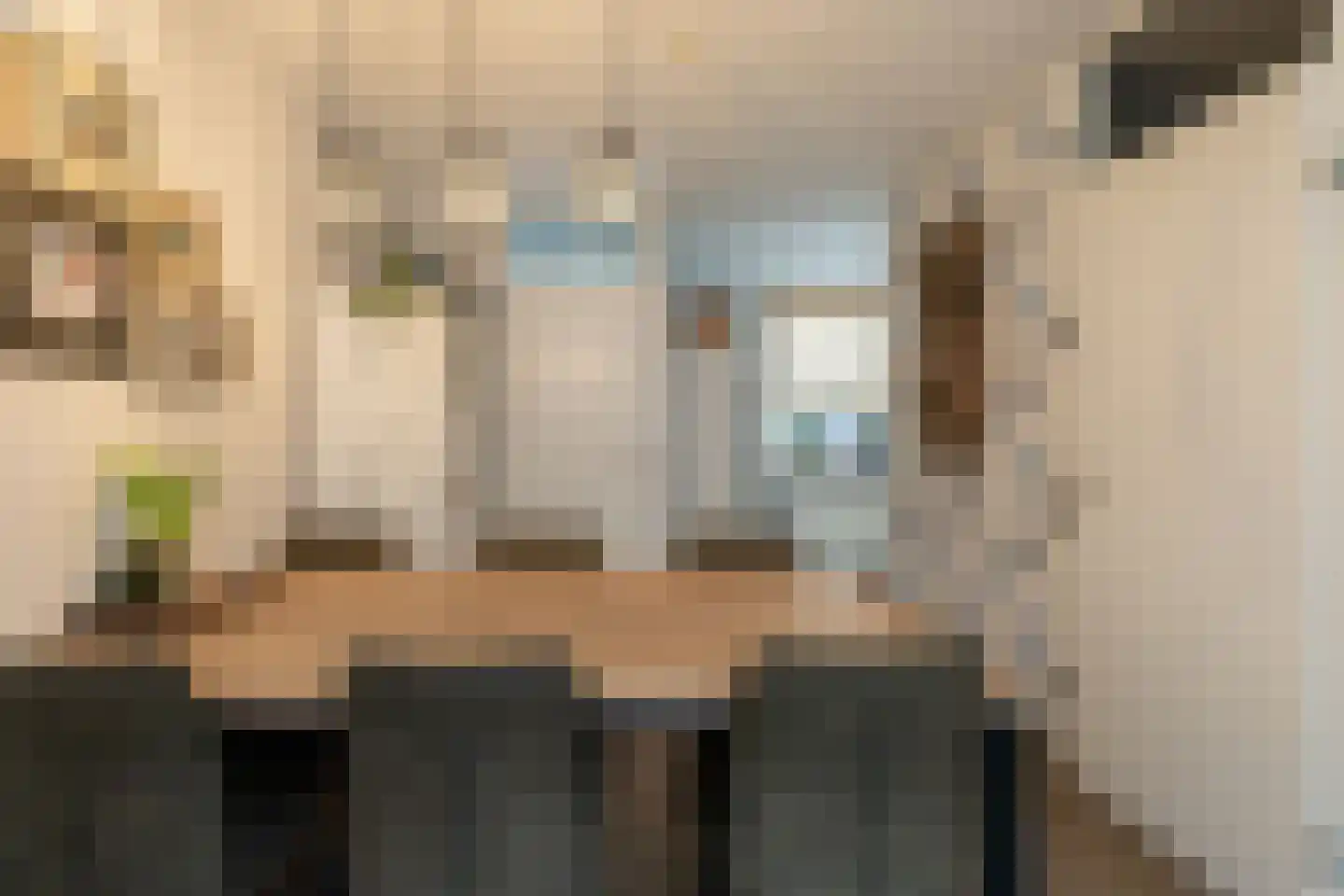 Hondsdraf 9 Alblasserdam thumbnail 9