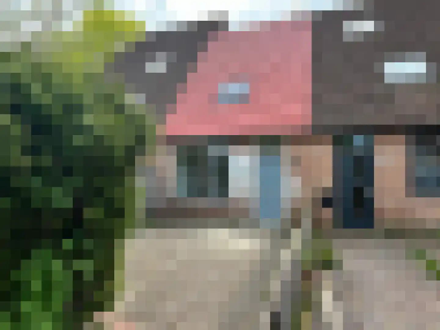 Hondsdraf 93 Zwaag