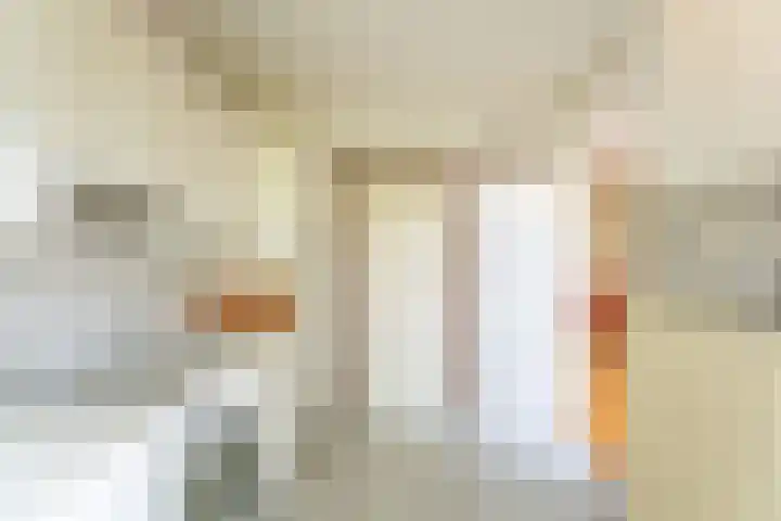 Hondsdrafhof 4 Voorhout thumbnail 10