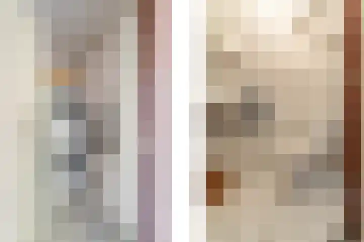 Hondsdrafhof 4 Voorhout thumbnail 11