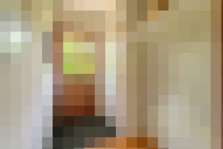 Hondsdrafhof 4 Voorhout thumbnail 12