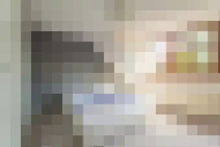 Hondsdrafhof 4 Voorhout thumbnail 15