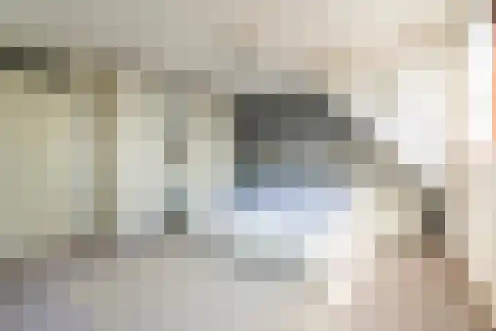 Hondsdrafhof 4 Voorhout thumbnail 16
