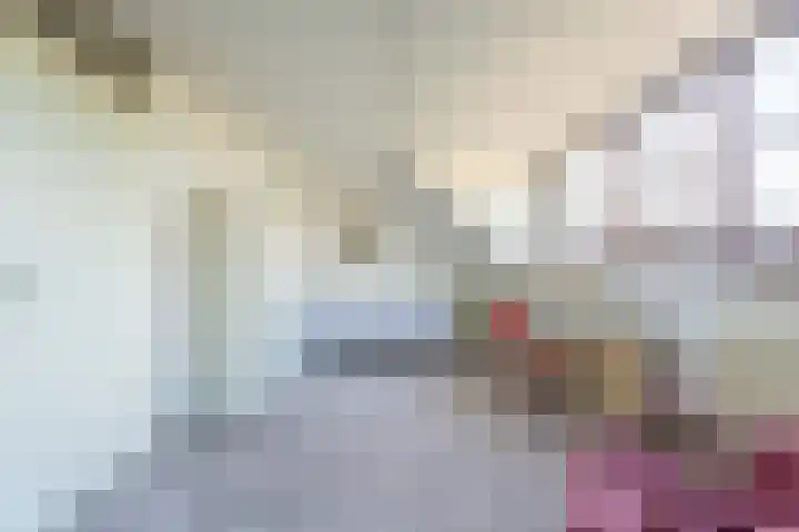 Hondsdrafhof 4 Voorhout thumbnail 17