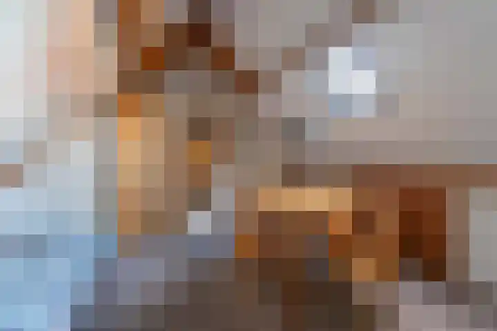 Hondsdrafhof 4 Voorhout thumbnail 24
