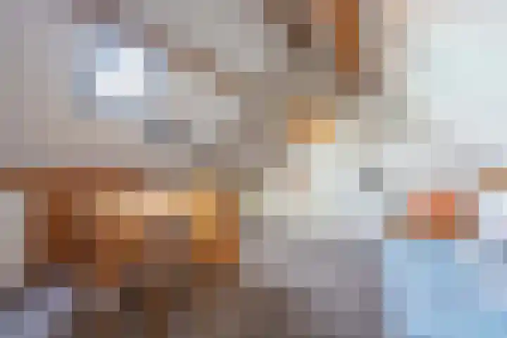Hondsdrafhof 4 Voorhout thumbnail 25