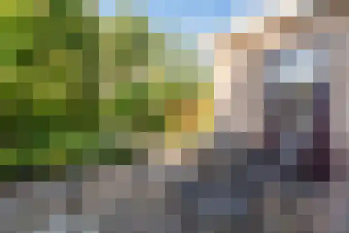 Hondsdrafhof 4 Voorhout thumbnail 26