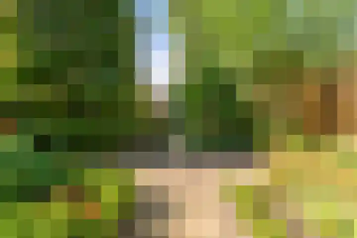 Hondsdrafhof 4 Voorhout thumbnail 27