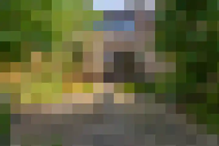 Hondsdrafhof 4 Voorhout thumbnail 28