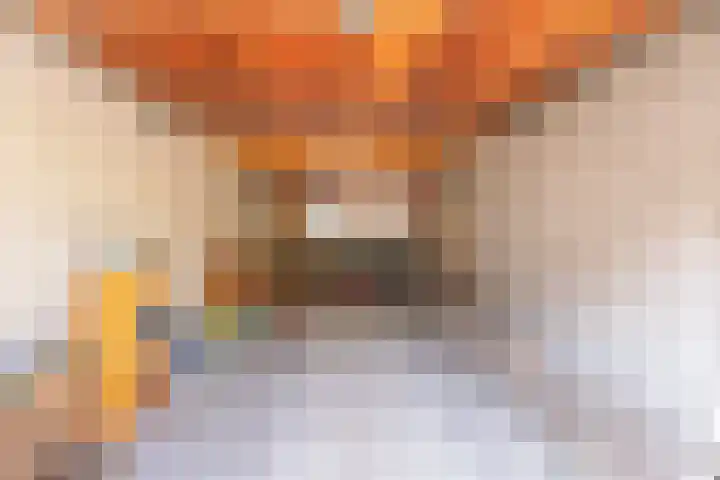 Hondsdrafhof 4 Voorhout thumbnail 30