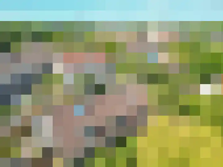 Hondsdrafhof 4 Voorhout thumbnail 32