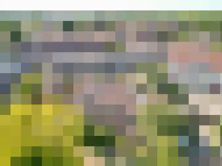 Hondsdrafhof 4 Voorhout thumbnail 33
