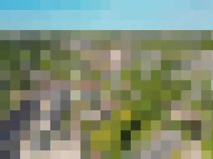 Hondsdrafhof 4 Voorhout thumbnail 35