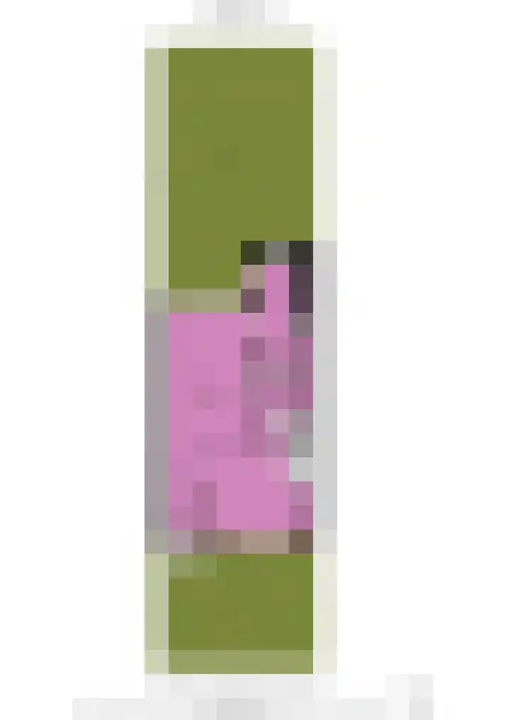 Hondsdrafhof 4 Voorhout thumbnail 39