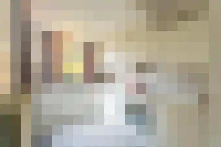 Hondsdrafhof 4 Voorhout thumbnail 8