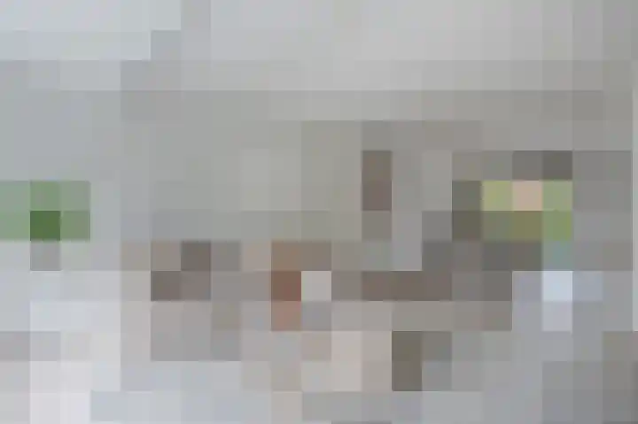 Hondsdraflaan 3 Bennebroek thumbnail 12