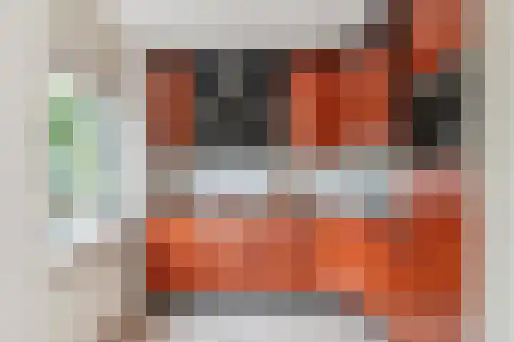 Hondsdraflaan 3 Bennebroek thumbnail 16