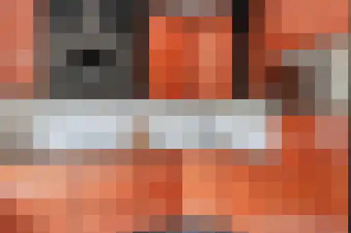 Hondsdraflaan 3 Bennebroek thumbnail 17