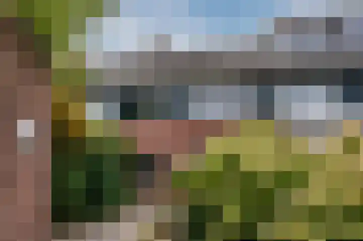 Hondsdraflaan 3 Bennebroek thumbnail 37