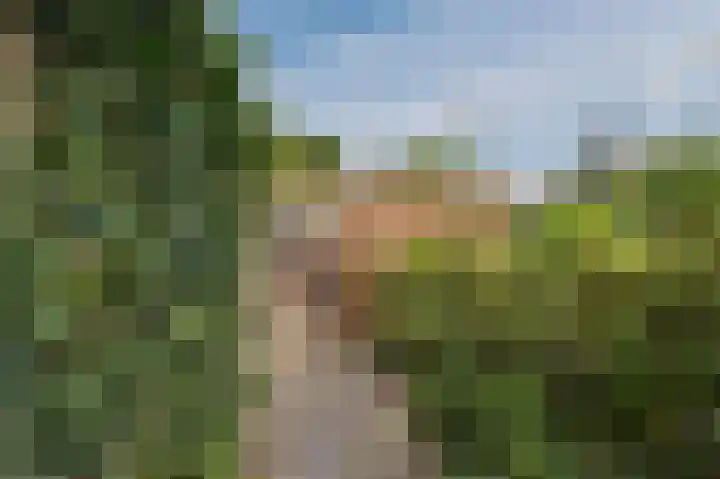 Hondsdraflaan 3 Bennebroek thumbnail 38