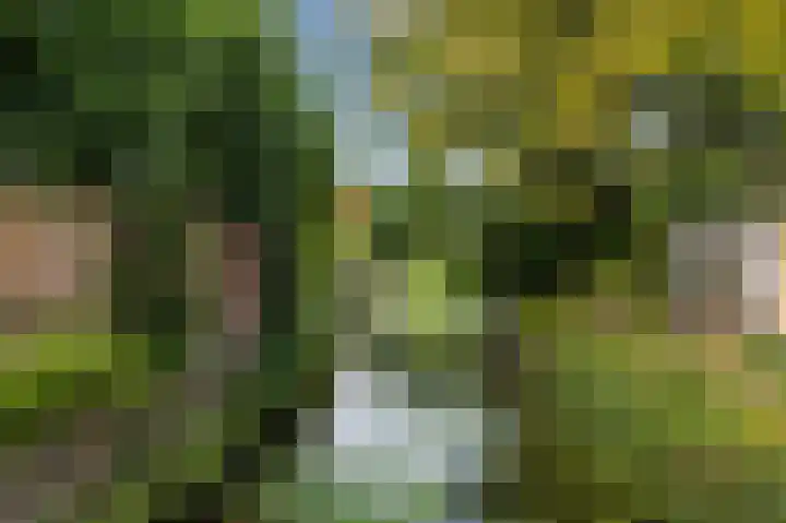 Hondsdraflaan 3 Bennebroek thumbnail 39