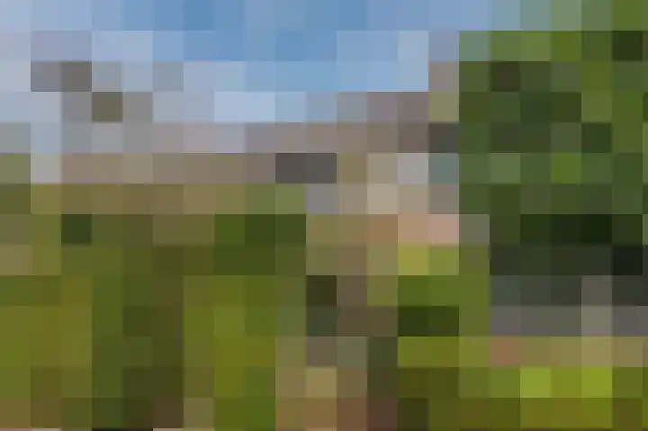 Hondsdraflaan 3 Bennebroek thumbnail 4