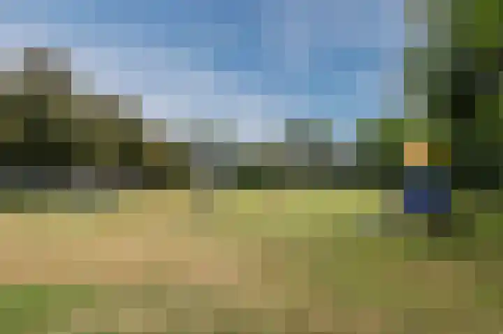Hondsdraflaan 3 Bennebroek thumbnail 40