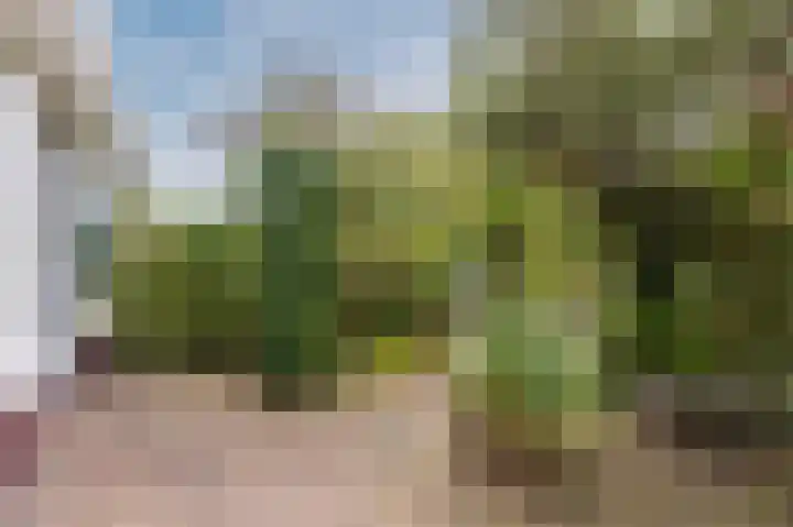 Hondsdraflaan 3 Bennebroek thumbnail 6