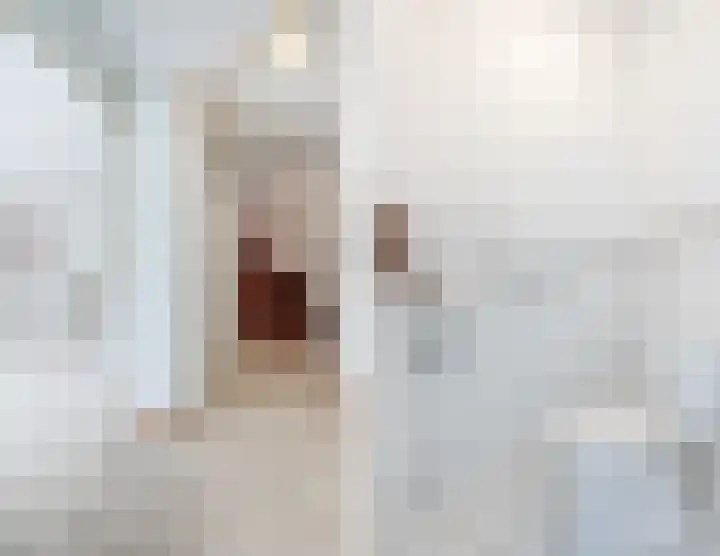 Hondsdraflaan 3 Bennebroek thumbnail 8