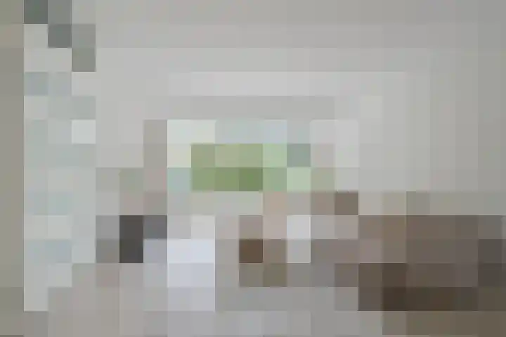 Hondsdraflaan 3 Bennebroek thumbnail 9