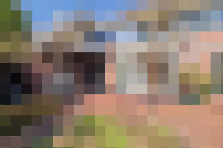 Hondsdraflaan 8 Bennebroek thumbnail 24