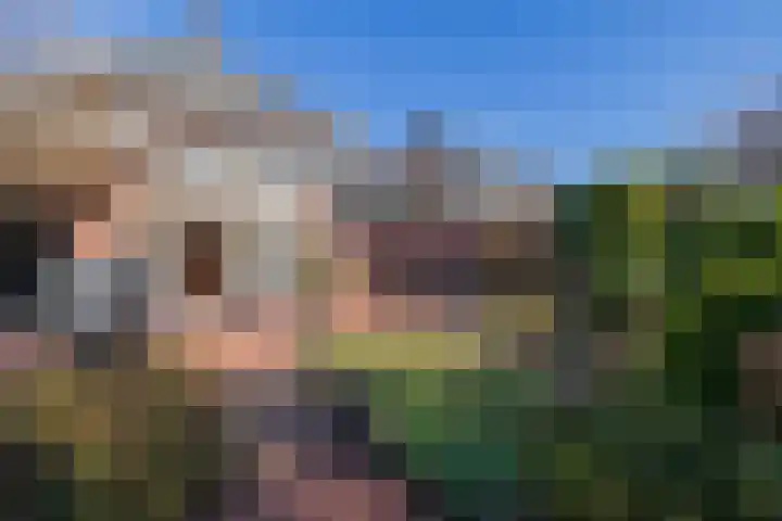 Hondsdraflaan 8 Bennebroek thumbnail 25