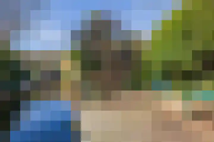 Hondsdraflaan 8 Bennebroek thumbnail 30