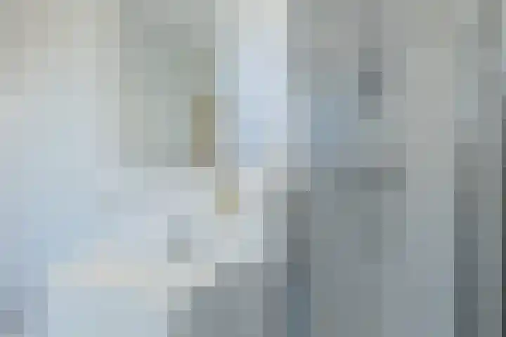 Hondsdraflaan 8 Bennebroek thumbnail 36