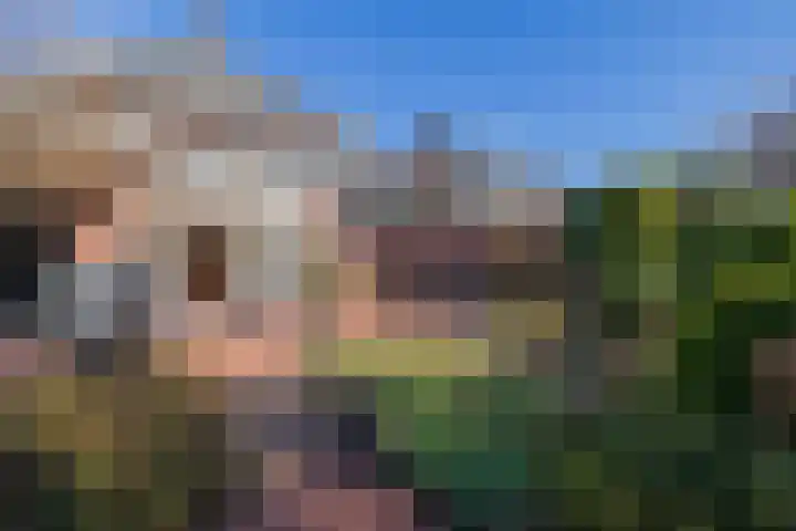 Hondsdraflaan 8 Bennebroek thumbnail 4
