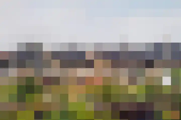 Hondsdraflaan 8 Bennebroek thumbnail 45