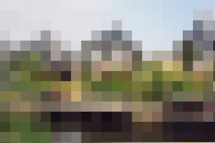 Hondsdraflaan 8 Bennebroek thumbnail 47
