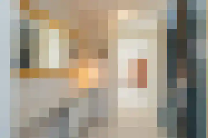 Hondsdraflaan 8 Bennebroek thumbnail 8