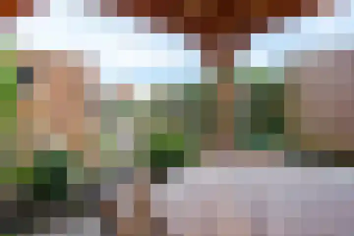 Hondsdraflaan 9 Bennebroek thumbnail 22