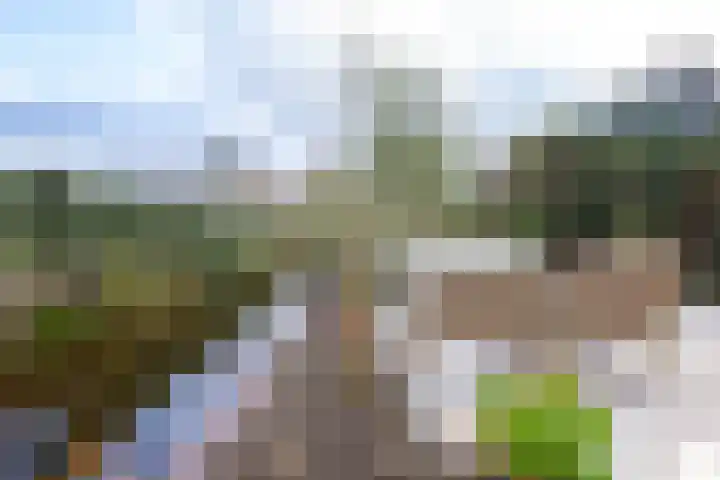 Hondsdraflaan 9 Bennebroek thumbnail 24
