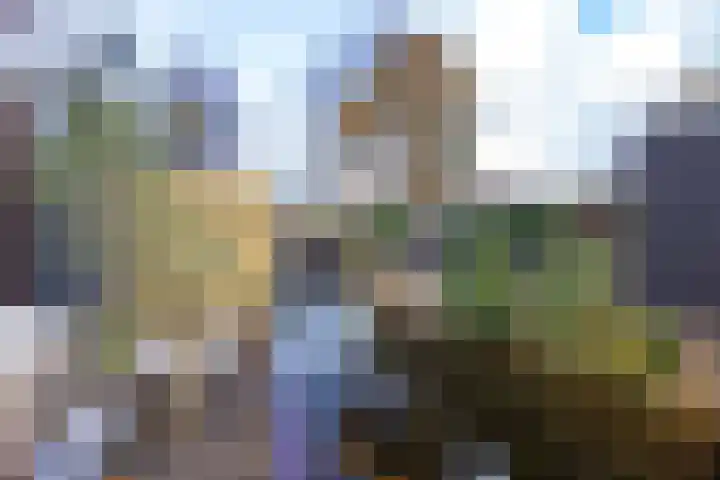 Hondsdraflaan 9 Bennebroek thumbnail 25
