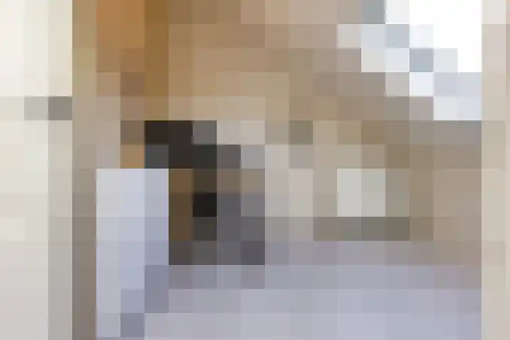 Hondsdraflaan 9 Bennebroek thumbnail 38