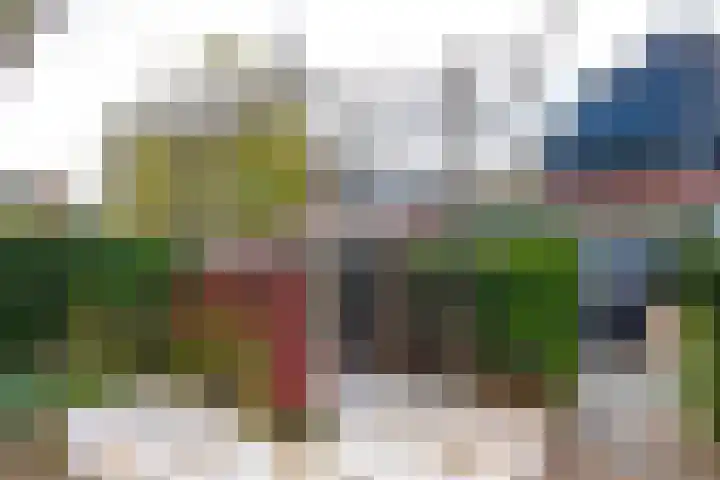 Hondsdraflaan 9 Bennebroek thumbnail 41