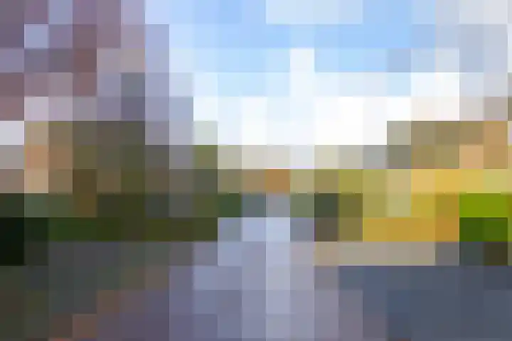 Hondsdraflaan 9 Bennebroek thumbnail 42